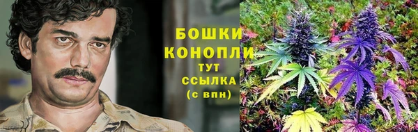 дмт Покачи