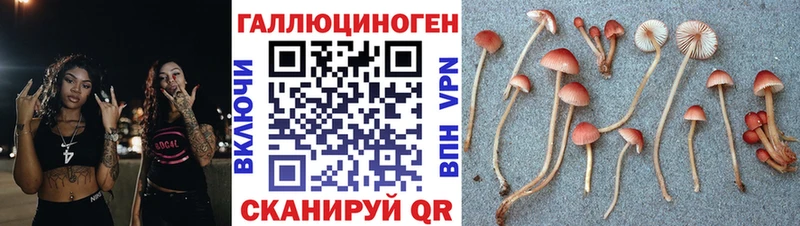 купить закладку Порхов Галлюциногенные грибы мухоморы